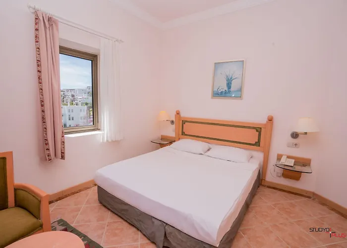 3s Bodrum