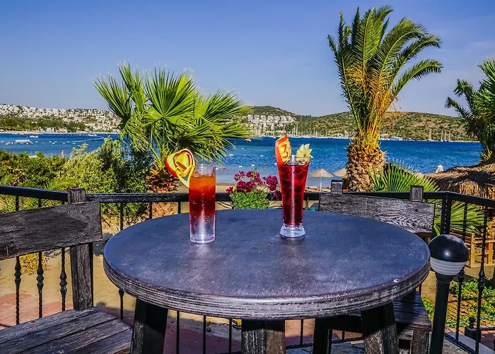 Ξενοδοχείο 3s Bodrum 4*