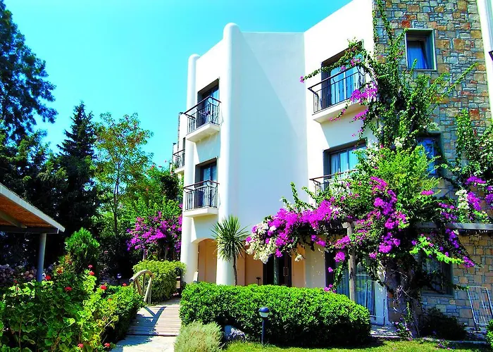 3s Bodrum 4*