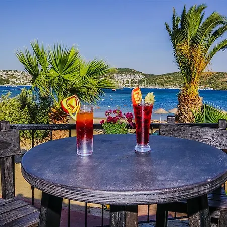 Ξενοδοχείο 3s Bodrum 4*